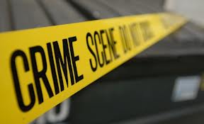 jobs with degree in criminology jobs with criminology degree
