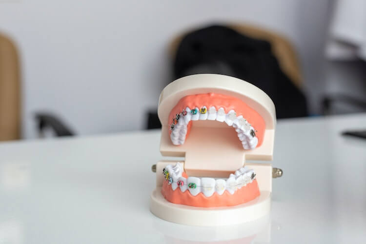 how to become an orthodontist