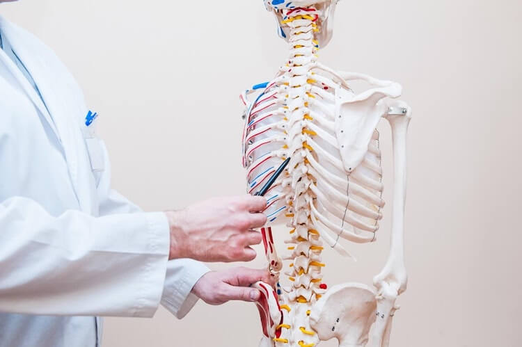 How to Become a Chiropractor: 5 Steps You Need to Take