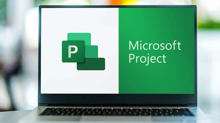 workload management with ms project 1