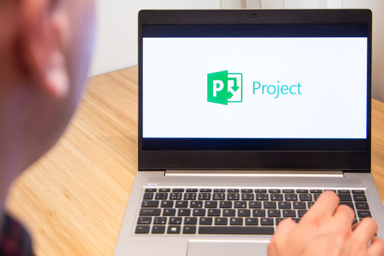 workload management with ms project 2
