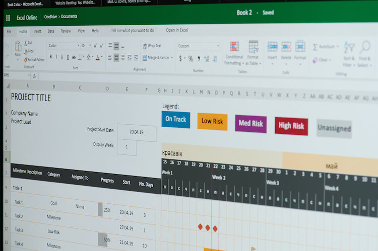 workload management with ms project 3