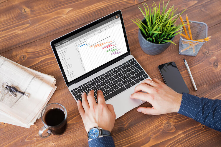 workload management with ms project 4
