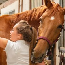 5 Types of Careers Where You Can Work With Animals