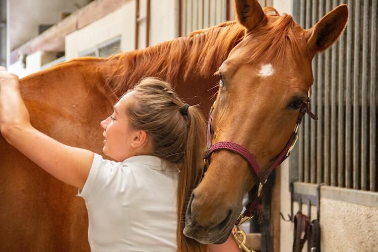 work with animals
